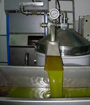 olive oil from  crete island